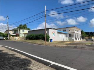 Puerto Rico - Bienes Raices VentaPropiedad con doble funcion|esquina Patillas Puerto Rico