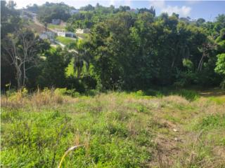 Puerto Rico - Bienes Raices VentaBo. Rincn,Cayey 75K Puerto Rico