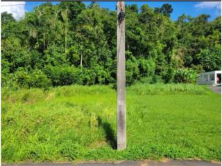 Clasificados Vega Alta Puerto Rico