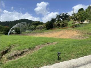 Puerto Rico - Bienes Raices VentaVenta pronto comercial  Puerto Rico