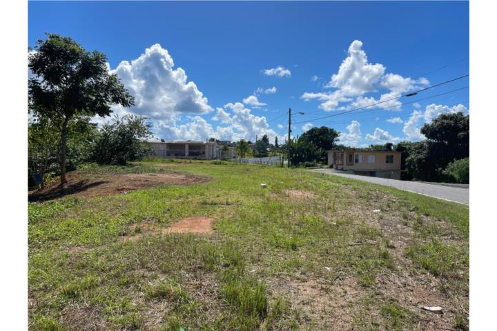 Mirabales Puerto Rico, Bienes Raices Mirabales Real Estate San