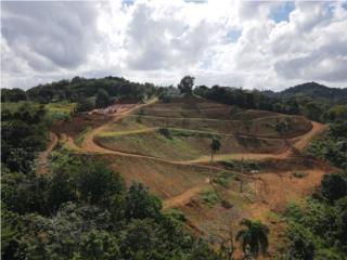 Puerto Rico - Bienes Raices VentaSOLARES DE 1,000m A 4 MINUTOS DE MONTEHIEDRA! Puerto Rico