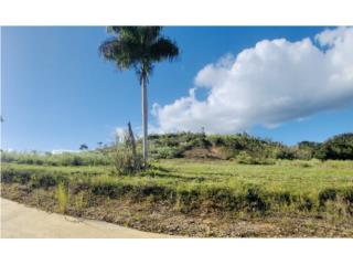 Hacienda del Dorado Puerto Rico