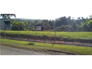 Puerto Rico - Bienes Raices VentaSolar 1200 metros Barrio Mirabales Nieves Puerto Rico