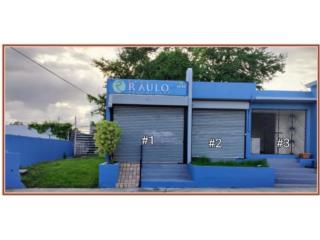 Puerto Rico - Bienes Raices VentaVENTA POR DUEO - COMERCIAL C1 Puerto Rico