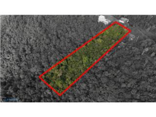 Puerto Rico - Bienes Raices Venta1.99 acres In Barrio Cercadillo Cayey PR Puerto Rico