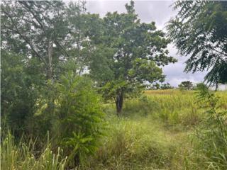 Puerto Rico - Bienes Raices VentaSolar a minutos de Boquern, sector Las Arena Puerto Rico