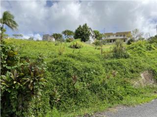 Clasificados Caguas Puerto Rico