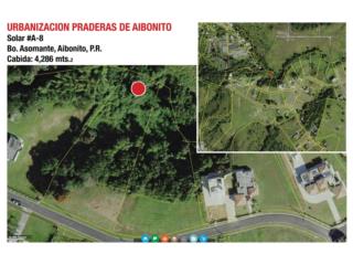 Puerto Rico - Bienes Raices VentaSOLAR MAS DE 1 CUERDA CONTROL ACCESO AIBONITO Puerto Rico