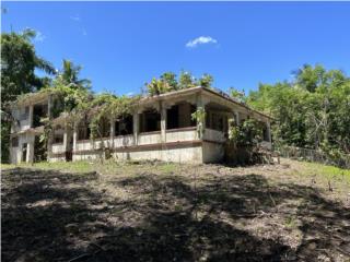 Puerto Rico - Bienes Raices VentaFinca de 7 cuerdas semillano con casa antigua Puerto Rico