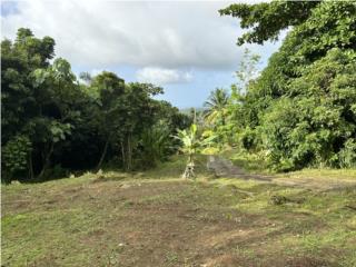 Puerto Rico - Bienes Raices VentaHermoso Terreno en Barrio Guzmn Abajo en Ro Puerto Rico