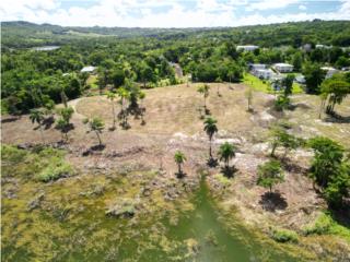 Puerto Rico - Bienes Raices VentaSan Sebastian - hermosa finca frente al lago Puerto Rico