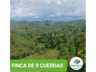 Puerto Rico - Bienes Raices VentaVENTA FINCA 9 CUERDAs- USO MIXTO  PANORAMICA  Puerto Rico