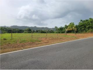 Puerto Rico - Bienes Raices Venta1.5cds Robles Hermoso Terreno Puerto Rico