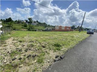 Puerto Rico - Bienes Raices VentaCOMPRA CON $10,000 SIN IMPACTAR TU CREDITO Puerto Rico