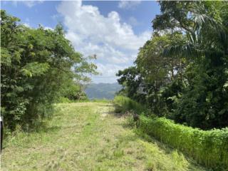 Quebrada Grande Puerto Rico