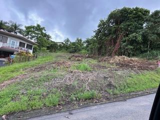 Puerto Rico - Bienes Raices VentaSOLAR-BO. LOMAS, CANOVANAS CABIDA 2,280.41 m2 Puerto Rico