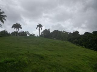 Morovis Sur Puerto Rico