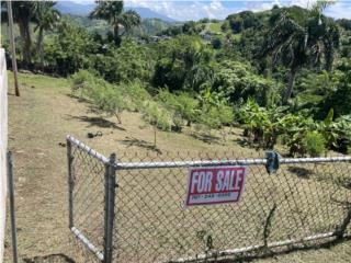 Bienes Raices Gurabo Puerto Rico