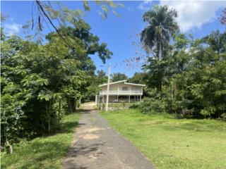 Guanajibo Puerto Rico