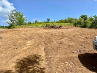 Puerto Rico - Bienes Raices VentaSolar 1000m^2, 95k, BO. Miradero, Cabo Rojo Puerto Rico