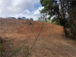 Clasificados Cayey Puerto Rico