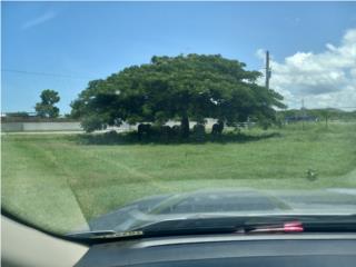 Hacienda Adela Puerto Rico