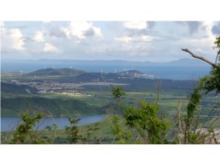 Puerto Rico - Bienes Raices VentaFinca hermosa en Naguabo, casi 10 cuerdas,  Puerto Rico