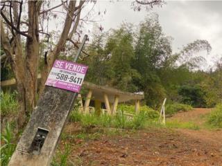 Puerto Rico - Bienes Raices VentaTerreno Barrio Juan Martin Luquillo Puerto Rico