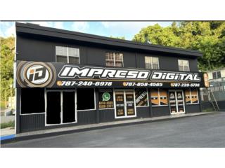 Galeria
