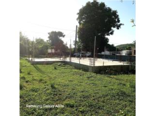 Galeria