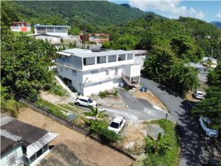 Galeria