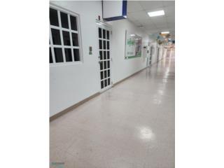 Galeria