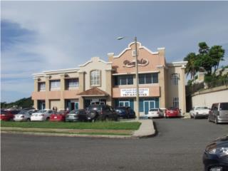 Galeria