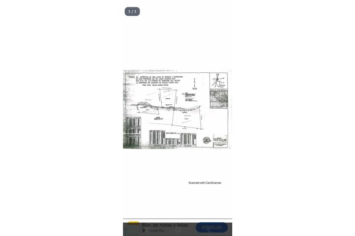 Borinquen Puerto Rico Caguas