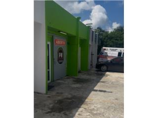 Galeria