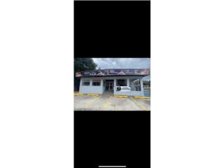 Galeria