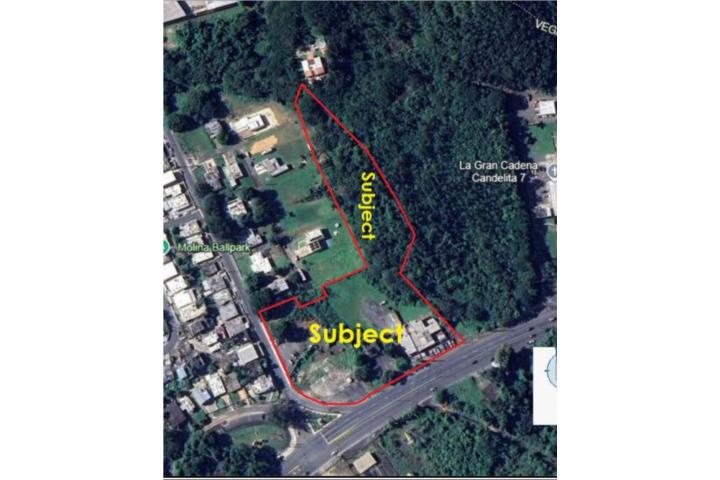 Espinosa Puerto Rico Dorado