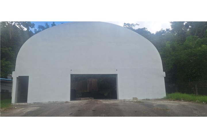 Contorno Puerto Rico Toa Alta