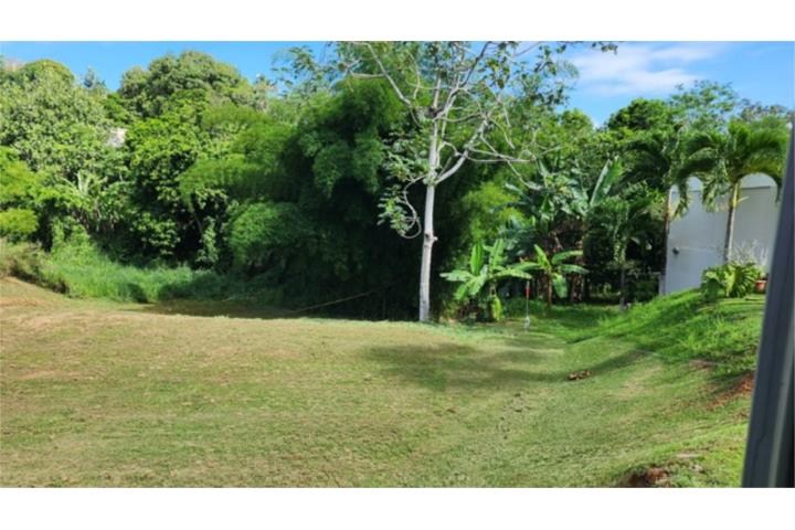 Rio Canas Abajo Puerto Rico, Venta Bienes Raíces Mayagüez Puerto Rico ...
