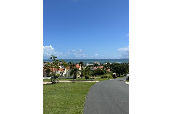 Flamboyan Humacao - Palmas