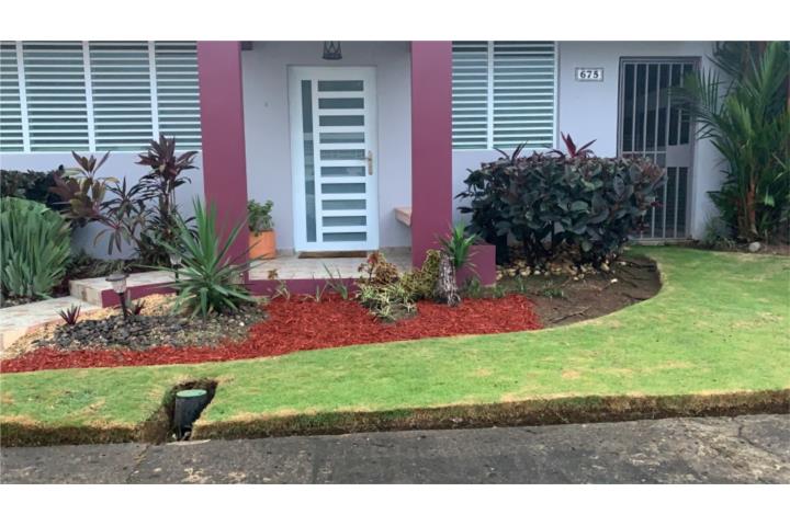 Fair San Juan - Río Piedras