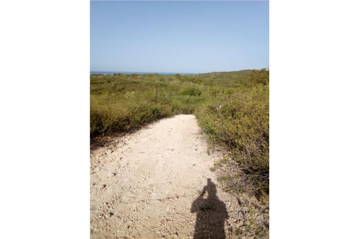 Combate Puerto Rico Cabo Rojo