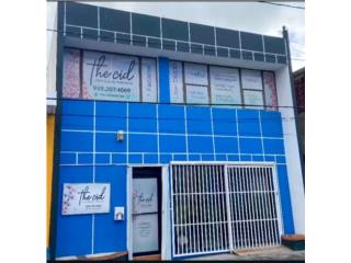 Galeria