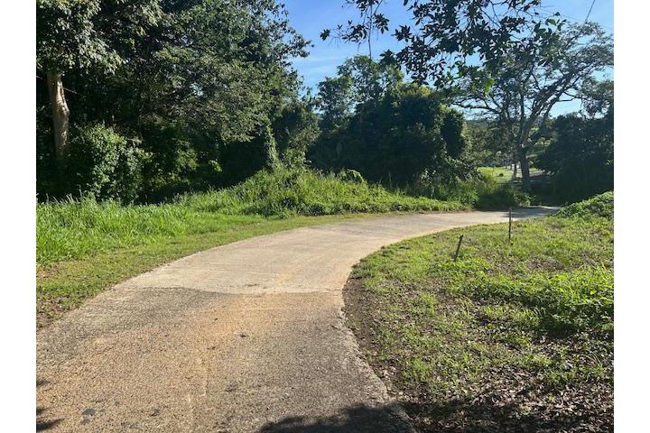 Pasto Puerto Rico Aibonito