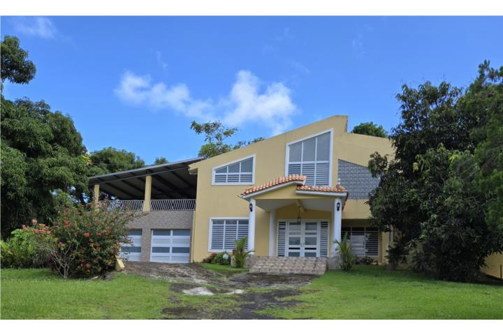 Bartolo Guzman Río Grande