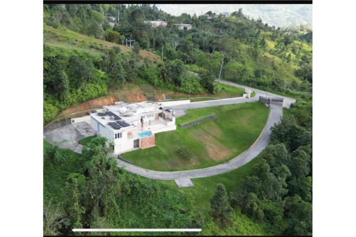 Beatriz Puerto Rico Cayey