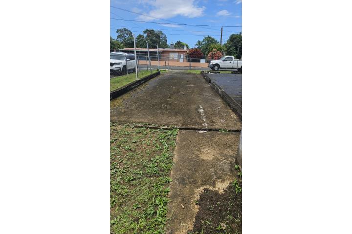 Pitahaya Puerto Rico Luquillo