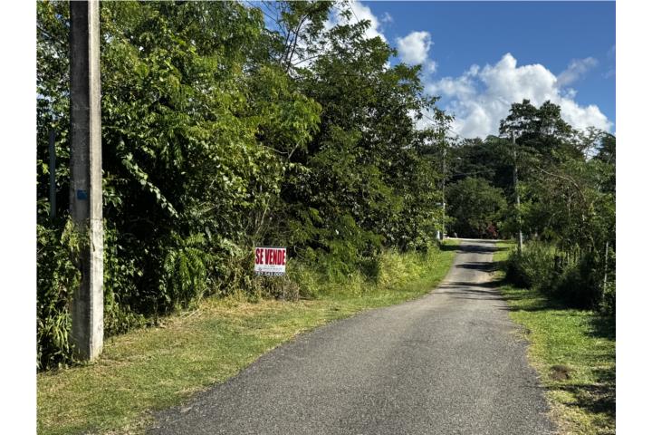 Guama Puerto Rico San Germán