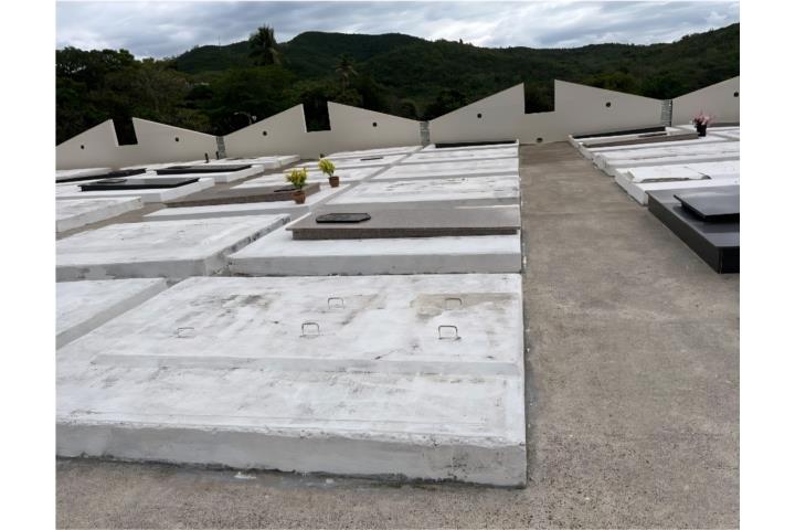 Borinquen Puerto Rico Ponce